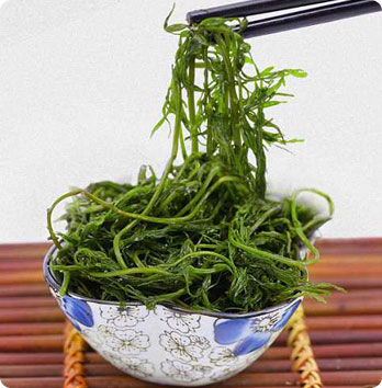 00e4025b4a52e300c586740ffedc0b91