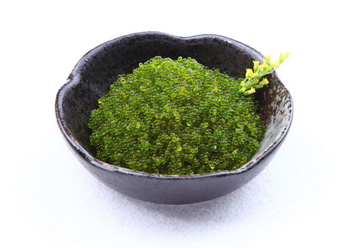 0183964ceaf28d33d3f6c0b34d979c07