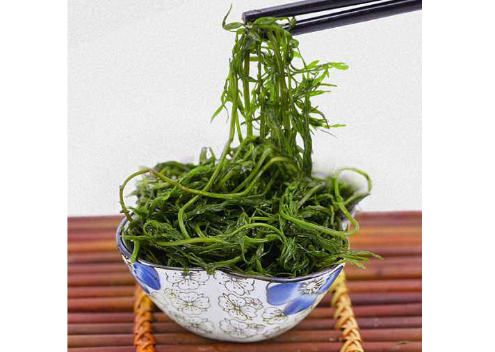 983d77e92b9ce4802a9ca15d1491036a