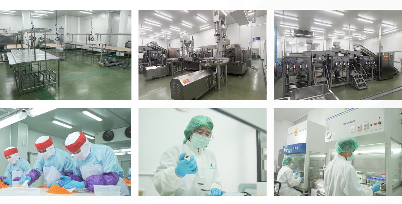 UG环球·(中国集团)官方网站